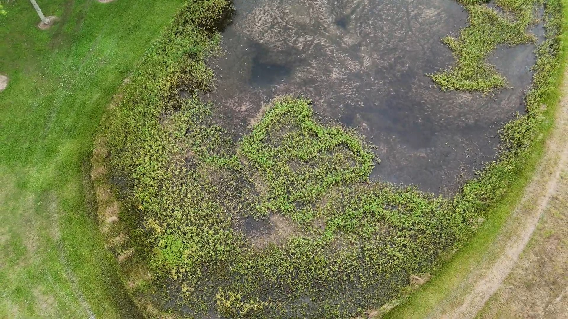 Pond Doctor project